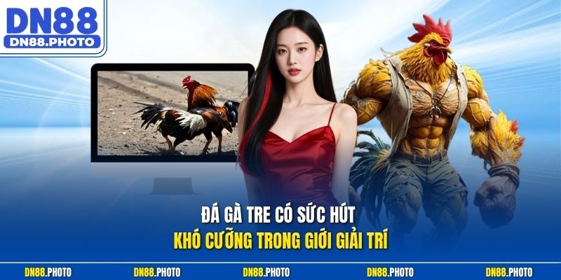 Đá Gà Tre Có Sức Hút Khó Cưỡng Trong Giới Giải Trí
